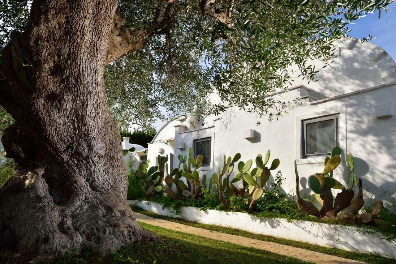 B&B Trullo Barbagiullo チステルニーノ エクステリア 写真